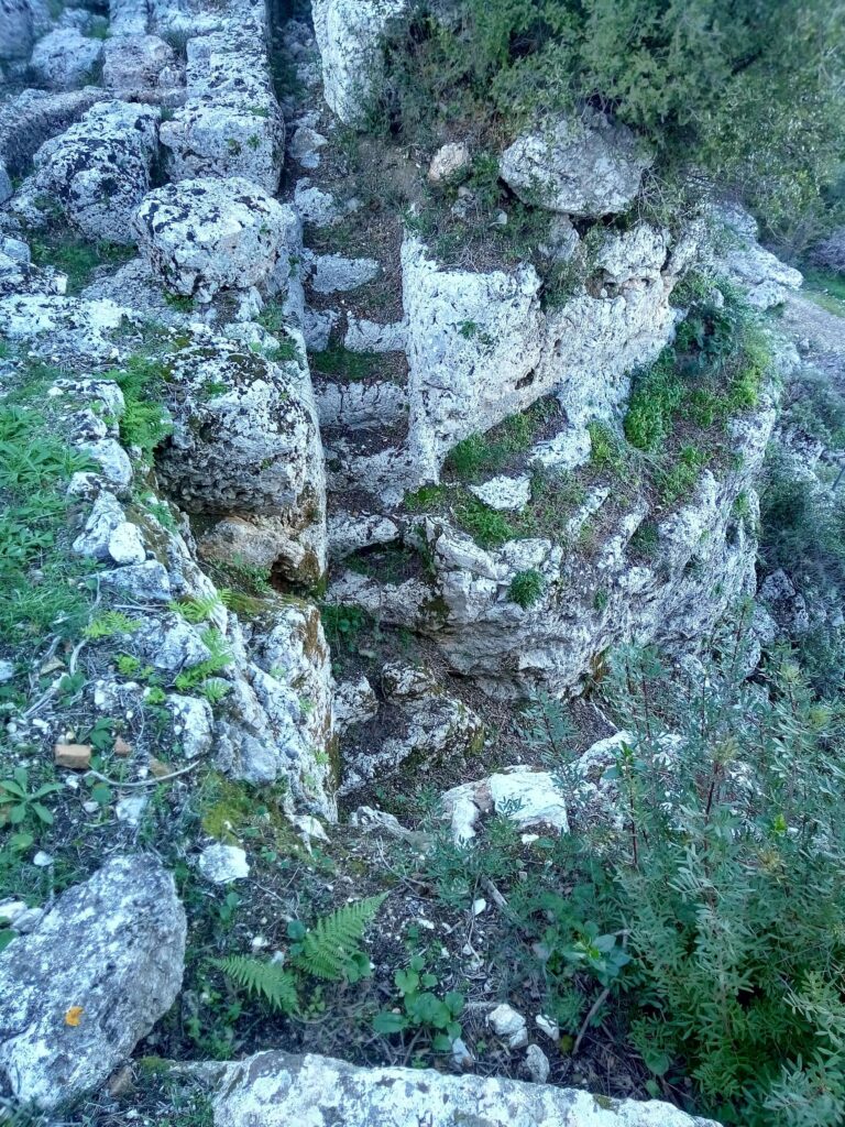 View from the south showing the upper part of the southern carved staircase at the School of Homer site. Credit: Χρ. Μαραμπέα / Greek Ministry of Culture