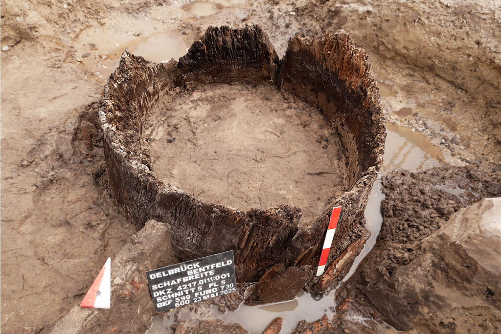 View of the well shaft, constructed from three hollowed-out tree trunk segments. Credit: EggensteinExca / S. Knippschild
