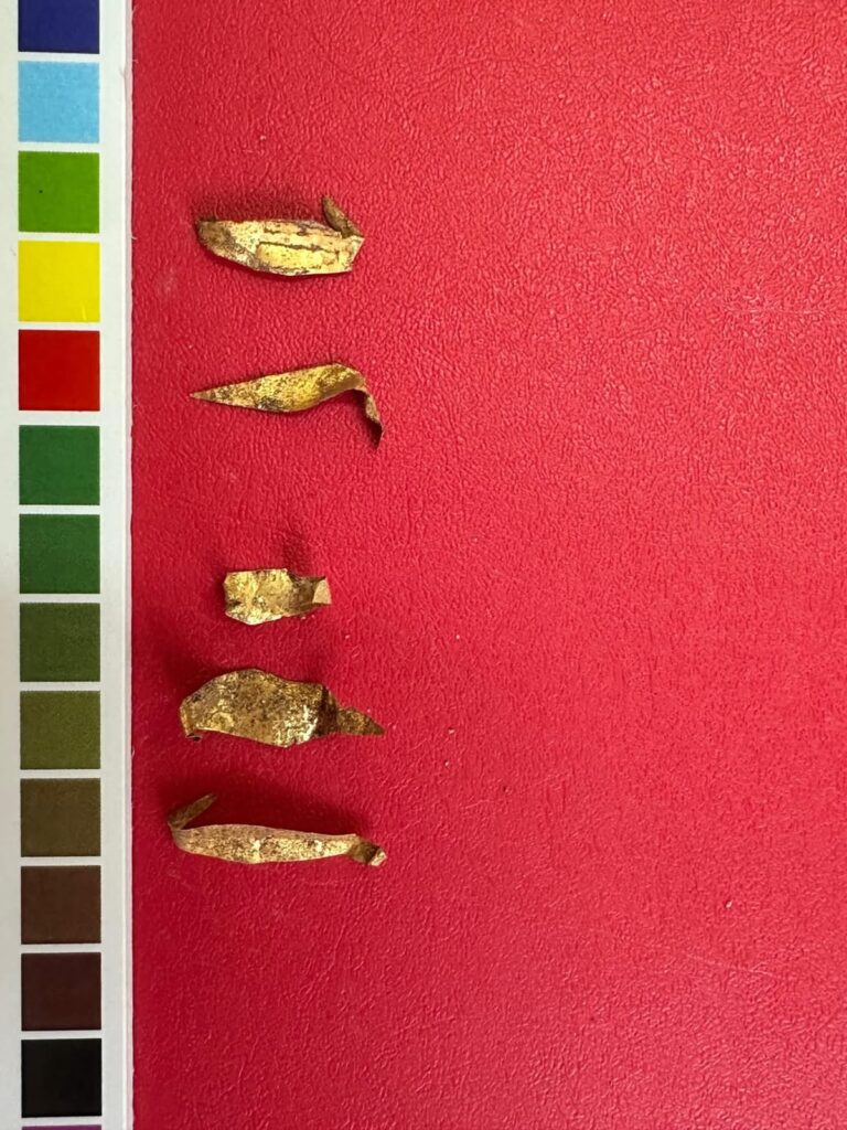 Gold leaf fragments. Credit: Department of Antiquities and Museums of Northern Cyprus