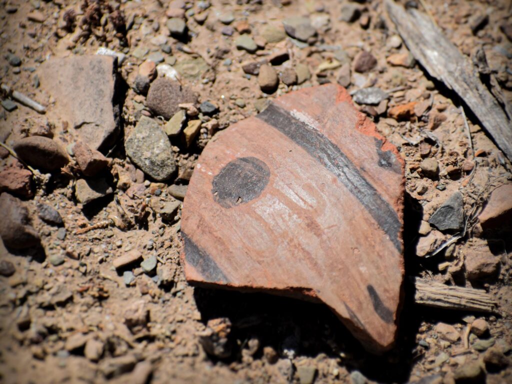 The surface of the temple contained numerous fragments of keru cups. The cups were used for drinking chicha, a traditional maize beer, during agricultural feasts and celebrations and point to the temple's function as a central hub for trade. Credit: José Capriles / Penn State.