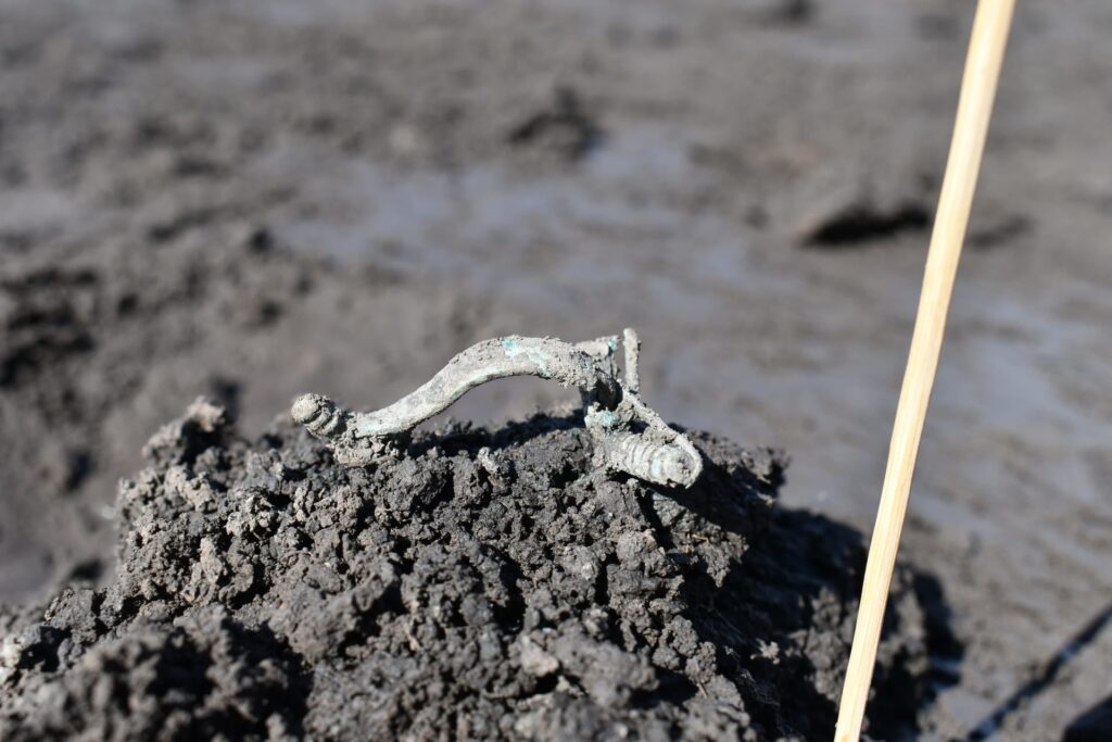 A Celtic fibula unearthed at the Hradec Králové settlement site, showcasing intricate metalwork typical of the La Tène period. Credit: Museum of Eastern Bohemia in Hradec Králové / University of Hradec Králové