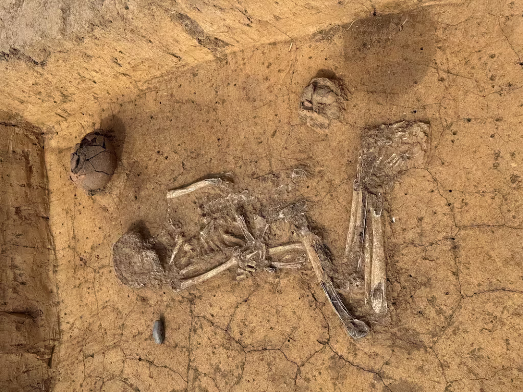 A man’s grave from the Corded Ware Culture, with grave goods including a stone axe and a pottery vessel. Credit: Oliver Dietrich / State Office for Heritage Management and Archaeology Saxony-Anhalt