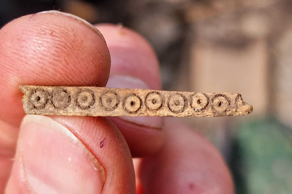 A small selection of star finds. Credit: University of the Highlands and Islands Archaeology Institute – Archaeology Orkney