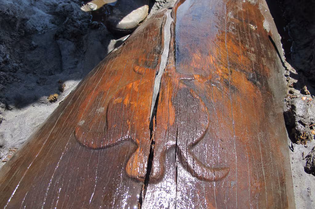 A relief of a turtle on the waka indicated that it was an ocean-going, voyaging waka that was intended to return to the Pacific. Credit: Supplied/Ngāti Tama- Local Democracy Reporting