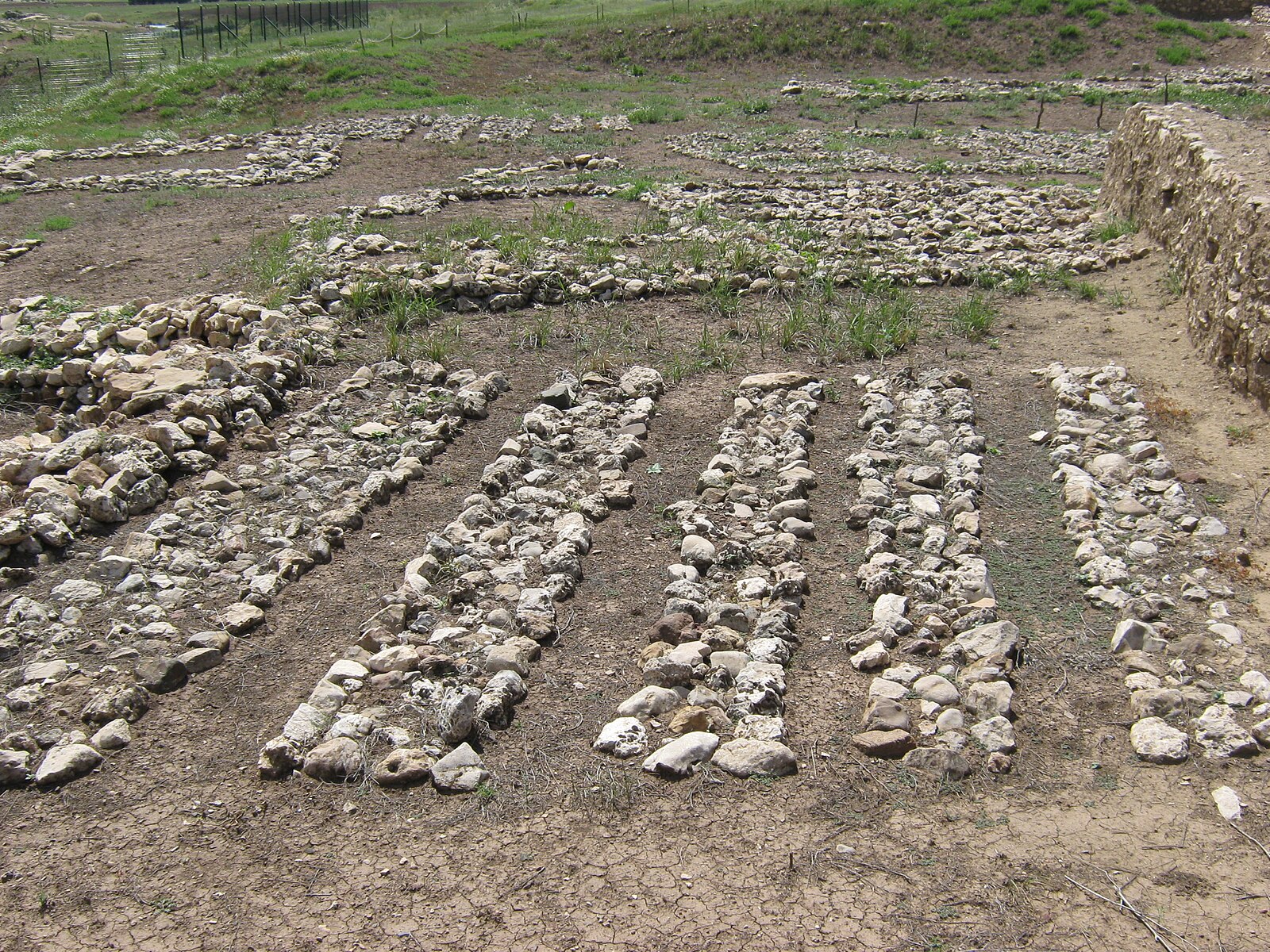 Foundation walls in one of the grid-planned structures