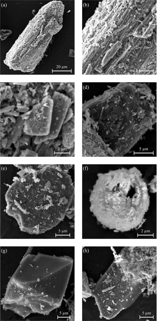 FEG-SEM-SE micrographs of the Kani Koter sample: (a) Pyrolusite crystal with perfect cleavage; (b) detail showing surface mineral phases; (c) K-feldspar; (d) plagioclase; (e) phyllosilicate; (f) clay with pyrolusite; (g) quartz; (h) calcite. Credit: Amicone et al., Archaeometry (2025)