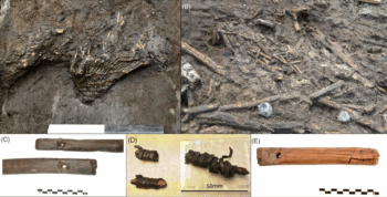 Fish traps from the Femern project excavations: A. Fragment of woven fish trap (X4186) in situ at Syltholm X (MLF00936); B. collection of thin branches and associated woven withies (X16700) in situ at Syltholm II (MLF00906-III); C. half of a suggested fish trap mouth frame (X8197) from Syltholm II (MLF00906-II); D. wooden stick with bast binding (X9878) probably from the tail of a basket trap from Syltholm II (MLF00906-II); E. fragment of trap mouth frame (X1805A) from Syltholm X (MLF00936) (photos © Museum Lolland-Falster) Credit: Proceedings of the Prehistoric Society, 90, 147–176. doi:10.1017/ppr.2024.15
