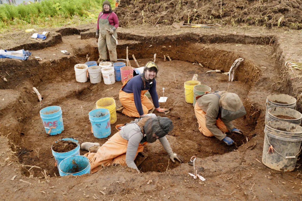 Archaeologists with the Alutiiq Museum dig into layers on layers site at Karluk Lake called site 309, which revealed a 'super structure'. This is separate from what was surveyed on Shuyak Island. Credit: Alutiiq Museum Archaeology Department & Repository
