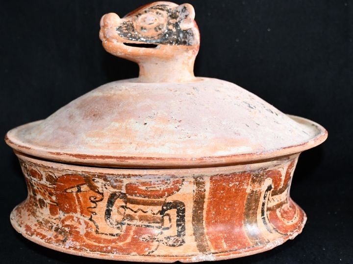 Maya pottery basal flange bowl with a coatimundi head. Credit: University of Houston