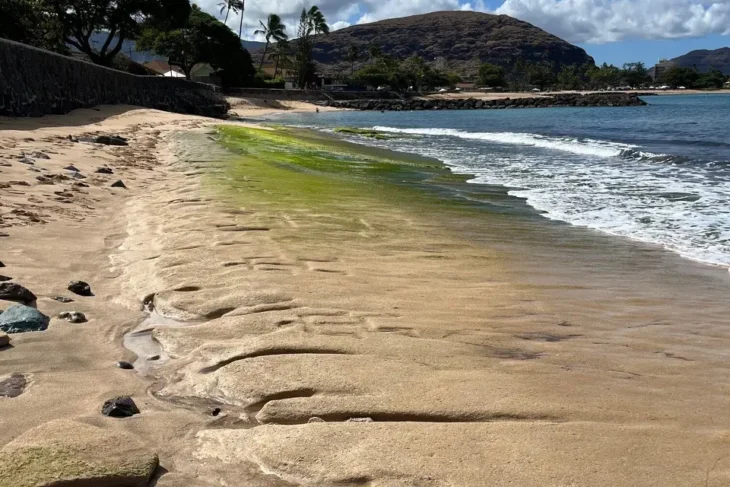 On this stretch of Oahu shoreline, ancient Hawaiian petroglyphs were uncovered by waves. Credit: U.S. Army Garrison Hawaii