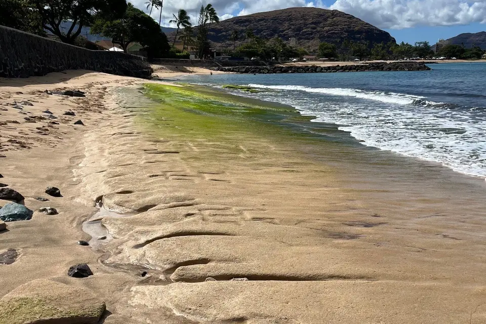 On this stretch of Oahu shoreline, ancient Hawaiian petroglyphs were uncovered by waves. Credit: U.S. Army Garrison Hawaii