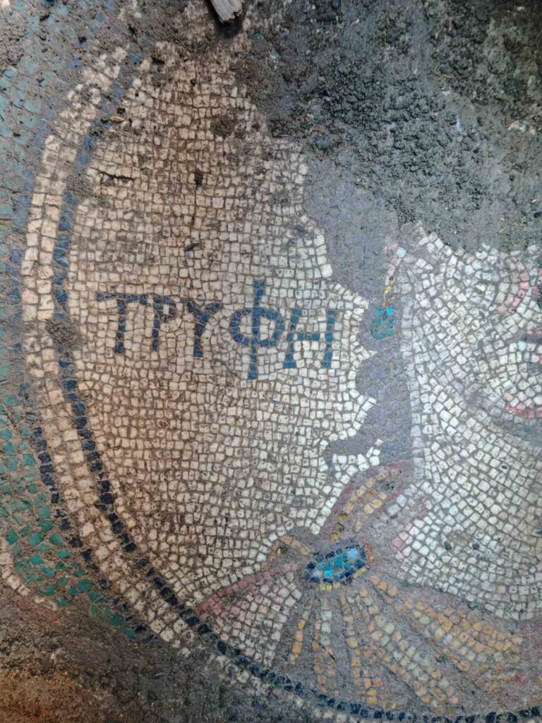 Initial expert assessments suggest that the mosaic likely adorned the floor of a public building from the Roman period. Credit: İHA