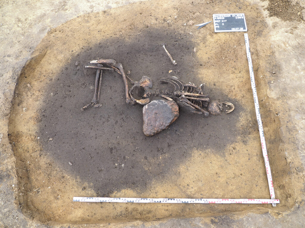 Settlement burial from the late Bronze Age. Credit: State Office for Monument Preservation and Archaeology Saxony-Anhalt, Juliane Huthmann