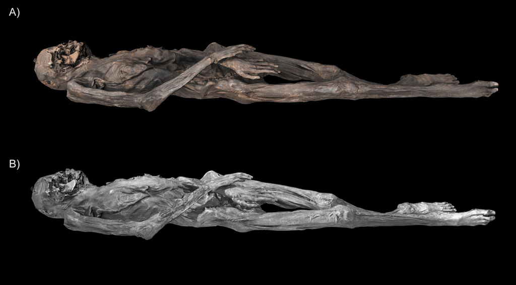 Photogrammetrically created 3D model of the female mummy from Pazyryk Tomb 5, showing: A) texture derived from visible-spectrum photographs; B) texture derived from near-infrared photography.
(Figure by M. Vavulin) Credit: Caspari, G., Deter-Wolf, A., Riday, D., Vavulin, M., & Pankova, S. - Antiquity