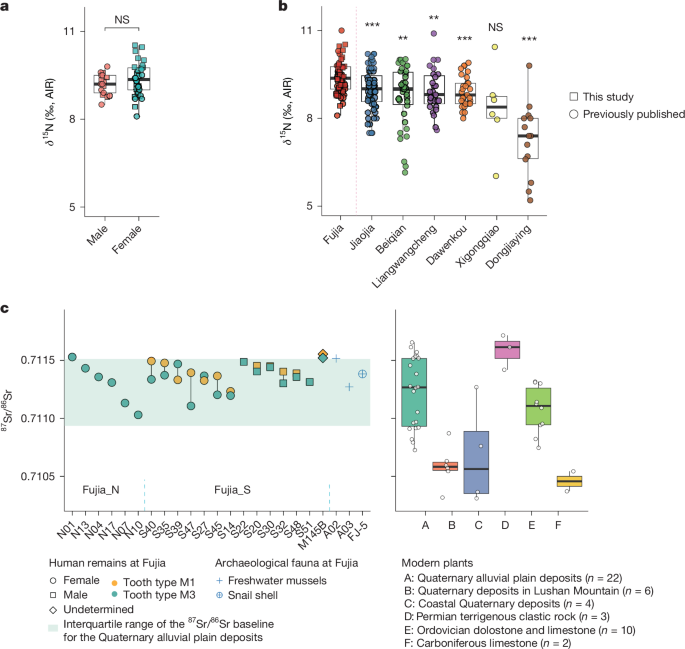 Stable isotopic analyses of the Fujia individuals.. Credit: Wang et al., 2025, Nature