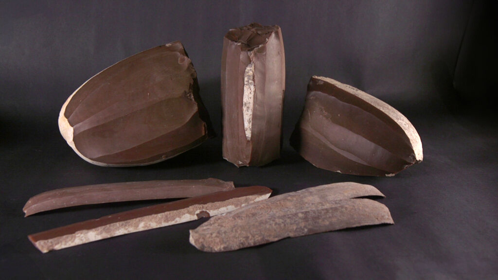The flint blades created in the ancient workshop. Credit: Emil Aladjem, Israel Antiquities Authority.