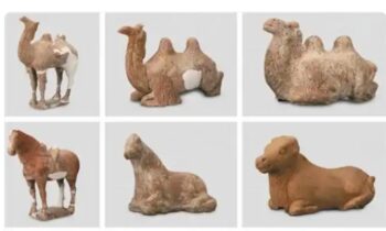 Cover Image Credit: Shaanxi Academy of Archaeology