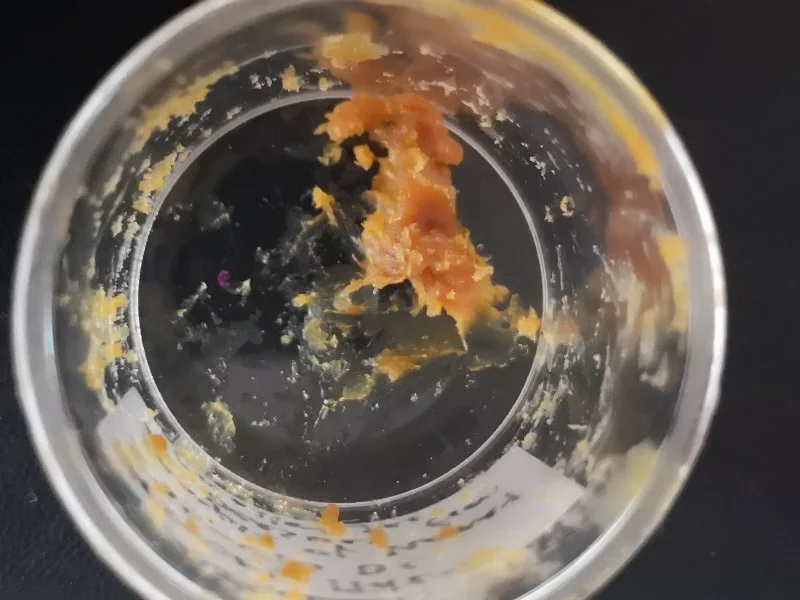 This is likely what 2,500-year-old honey looks like, according to new tests using modern techniques. Credit: Luciana da Costa Carvalho