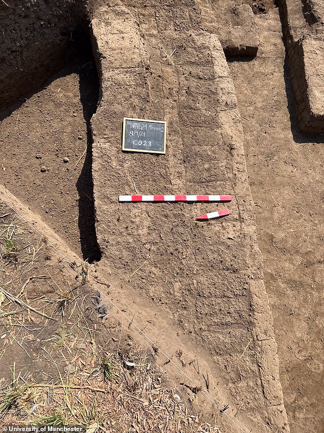Archaeologists have uncovered the remains of the long-lost Egyptian city of Imet. Revealing the foundations of 2,500-year-old multi-storey 'tower houses' and temple structures. Credit: University of Manchester