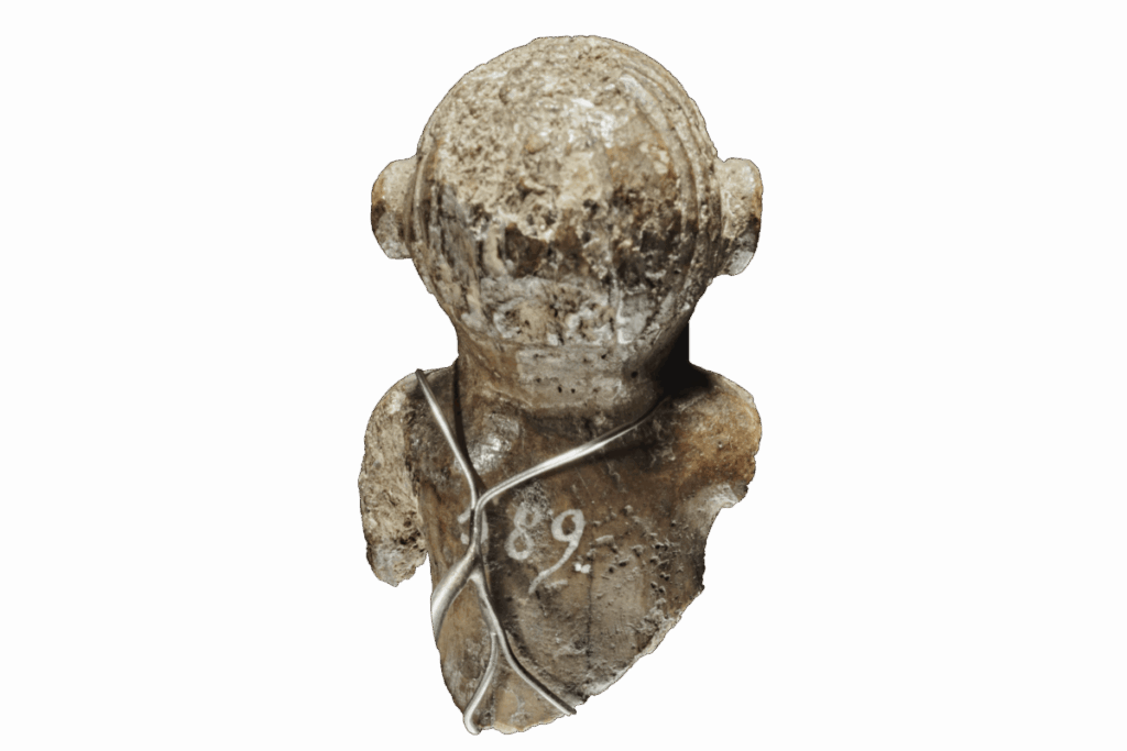 Unique gaming piece from the Viking Age, seen from the back. Credit: Roberto Fortuna, the National Museum of Denmark.