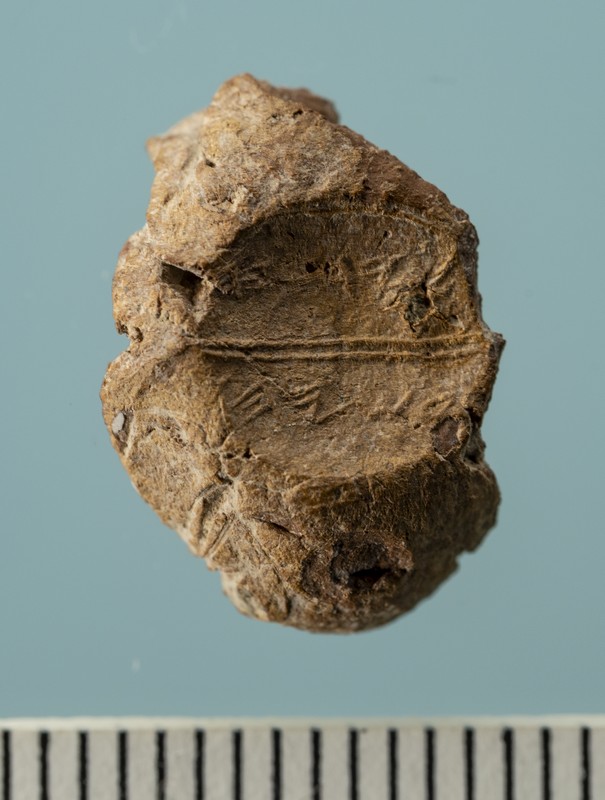 A rare clay sealing from the Temple Mount. Credit: Temple Mount Sifting Project (TMSP)