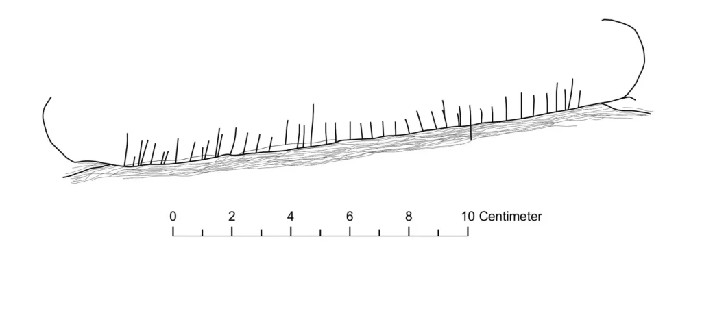 Drawing of the carved boat on the small stone. Image Credit: Kristoffer R. Rantala / NTNU University Museum
