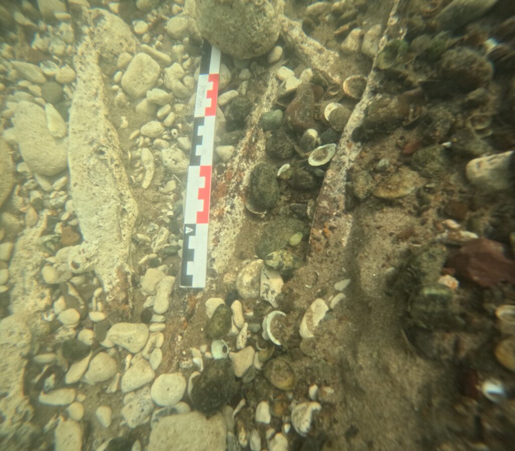 Bosnia and Herzegovina Unearths Europe’s Largest Cache of 2,000-Year-Old Bipyramidal Ingots in the Sava River. Credit: Muzej Franjevačkog samostana Tolisa Vrata Bosne