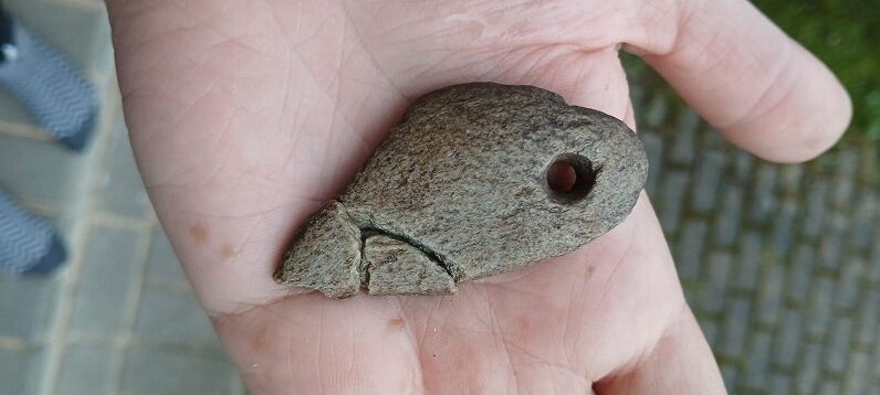 Finds include a slate pendant, flint tools, and incised pottery. Credit: Latvian National History Museum