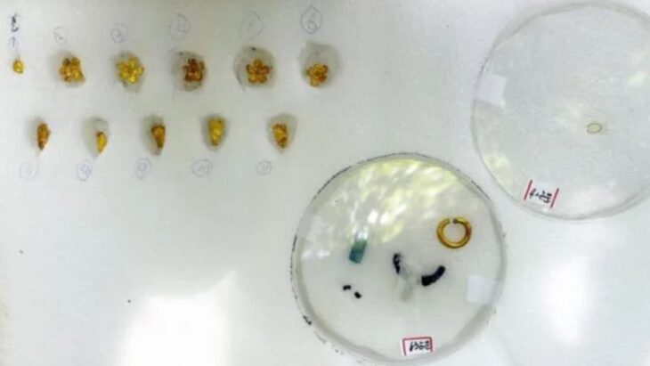 Gold jewelry excavated from the ancient tombs of Eunseon-ri and Dogye-ri. Credit: Jeongeup City