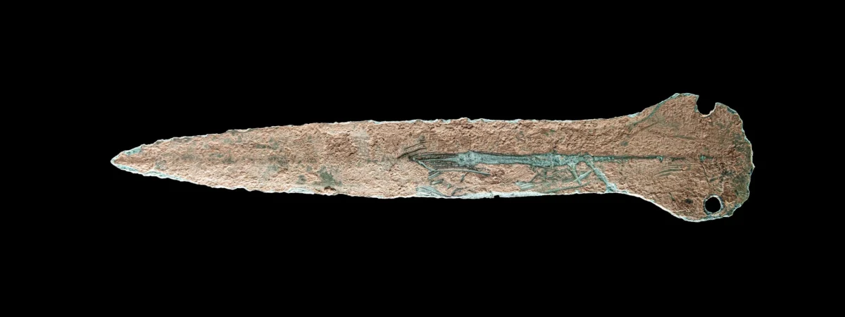 Image Credit: MDR / Hauke Arnold, Thuringian State Office for Monument Preservation and Archaeology
