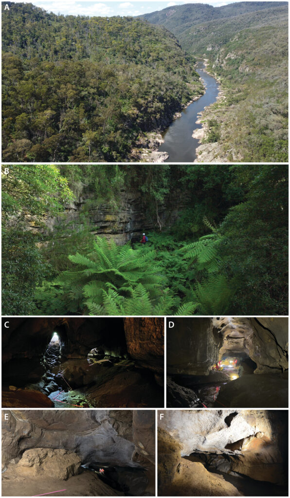 New Guinea II Cave: A: Snowy River valley. B: Cave entrance. C: North Entrance (left) and partly sealed Middle Entrance (right). D: Main Gallery. E: Upper floor of Collapsed Block Chamber with finger flutings. F: Main panels of finger flutings; permanent creek at bottom-right. (Photos: Bentley Dean / GunaiKurnai Land and Waters Aboriginal Corporation)