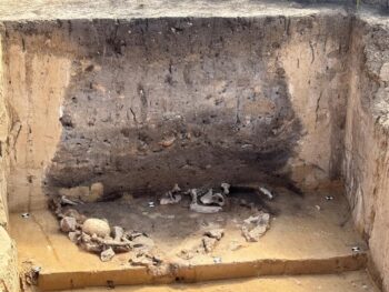 Gerstewitz, sacrificial pit of the Salzmünde Culture, containing dog bones, a human skull, burnt loam from a house wall and a horn core.
