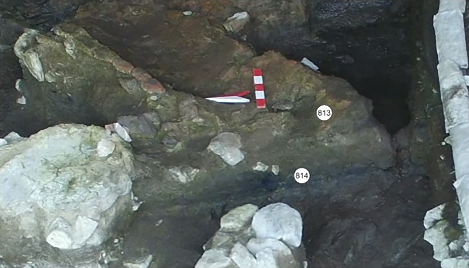 Soil DNA analysis from Türkiye’s İnönü Cave reveals 5,000-year-old charcoal therapy and ancient antibiotic resistance genes. Credit: Öztürk et al., 2025, PLOS ONE