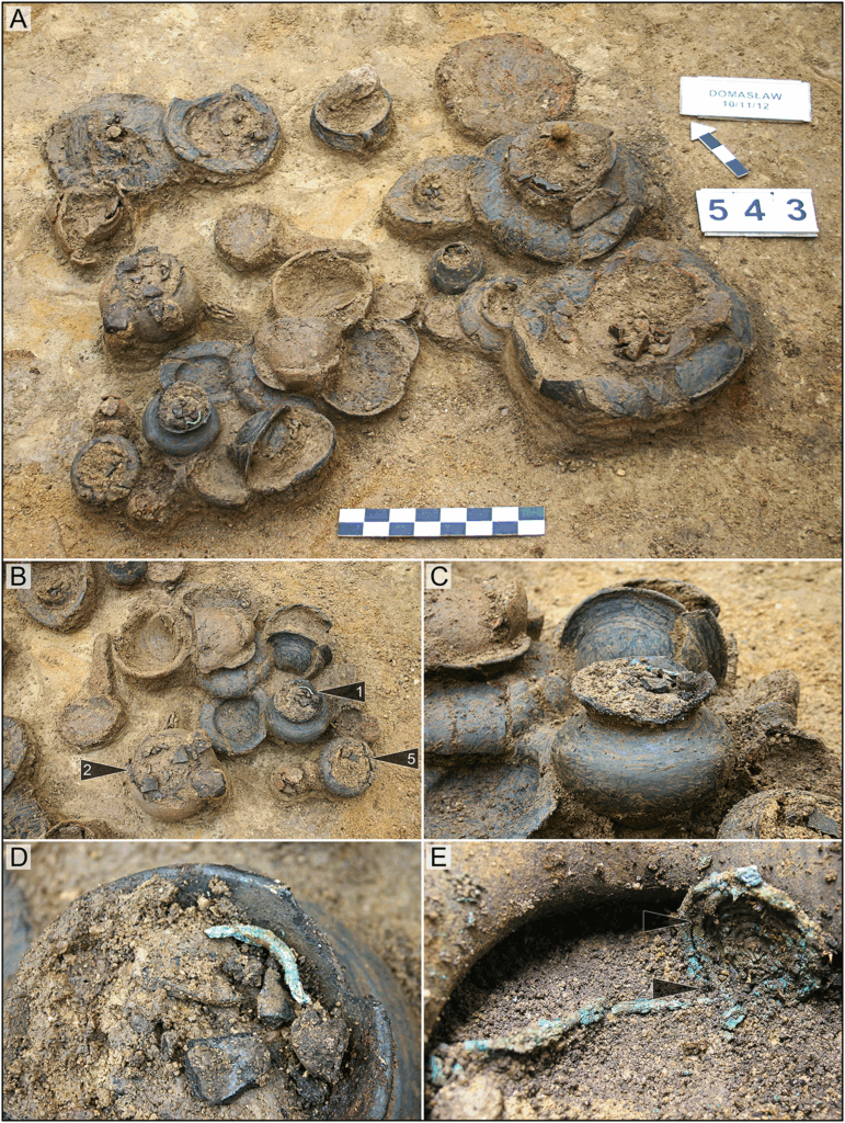 Chamber grave no. 543: A) arrangement of vessels in situ; B) close-up on the south-east part of the burial with urns 1, 2 and 5; C & D) urn no. 1 in situ; E) harp-shaped fibula in urn no. 1 with the insect fragments marked with arrows (figure by A. Woźniak & A. Hałuszko). Credit: Hałuszko, A., Kadej, M., & Józefowska, A. (2025)