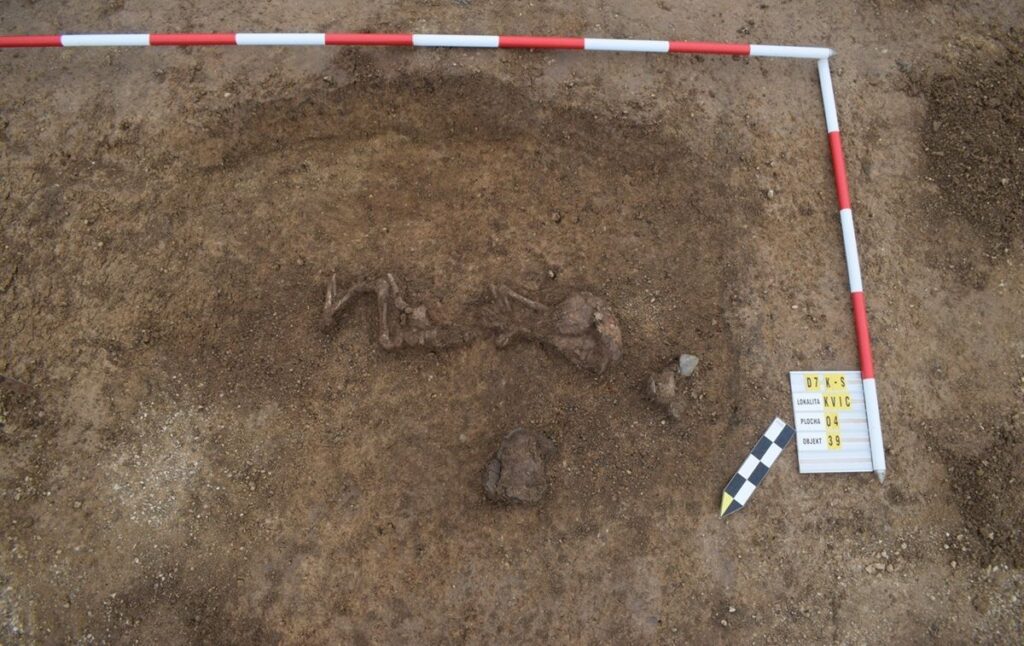 Corded Ware child’s grave with miniature axe. Credit: Archaeological Centre Olomouc