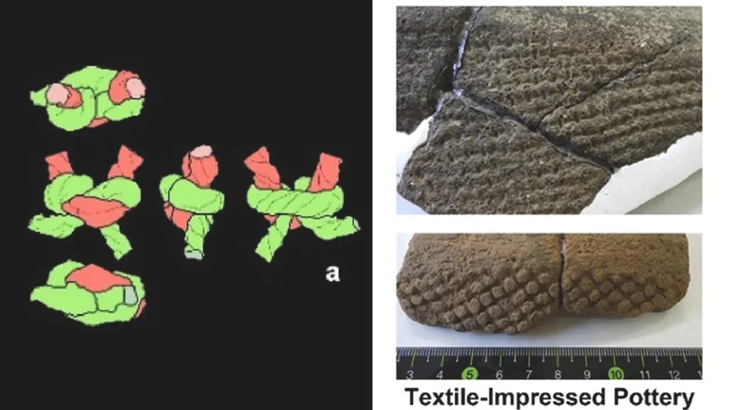 Ancient Japanese fishing nets resurrected with X-ray CT scans. Credit: Obata, H., & Lee, Y.-J. Journal of Archaeological Science (2025)