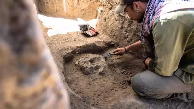 Archaeologists found that while adults were cremated, infants were often buried within the home’s living spaces.