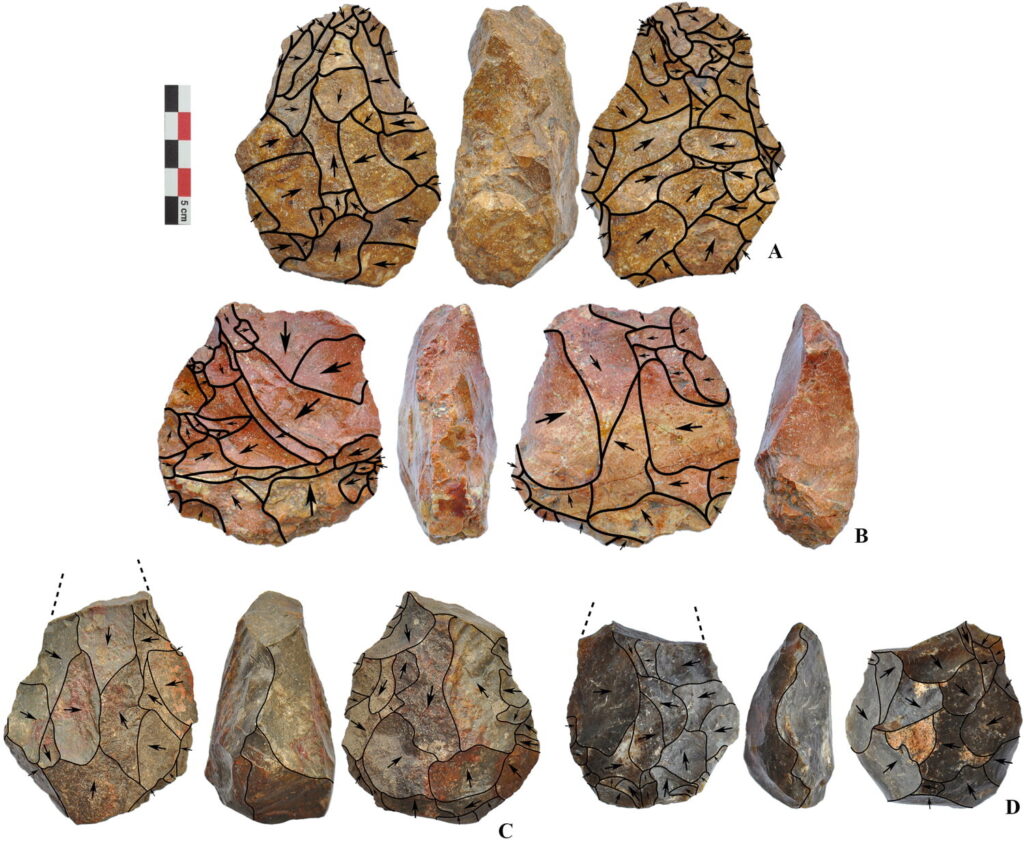Large cutting tools. A handaxe from Şirinkent I (A); A cleaver from Şirinkent I (B); Handaxes with broken distal ends from Sahilkent (C and D).Credit: Journal of Island and Coastal Archaeology