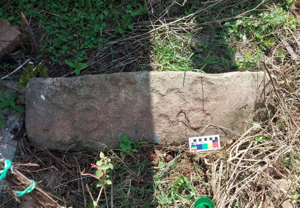 
Mysterious indigenous carvings date back to Early Postclassic age in Mexico. Credit: INAH