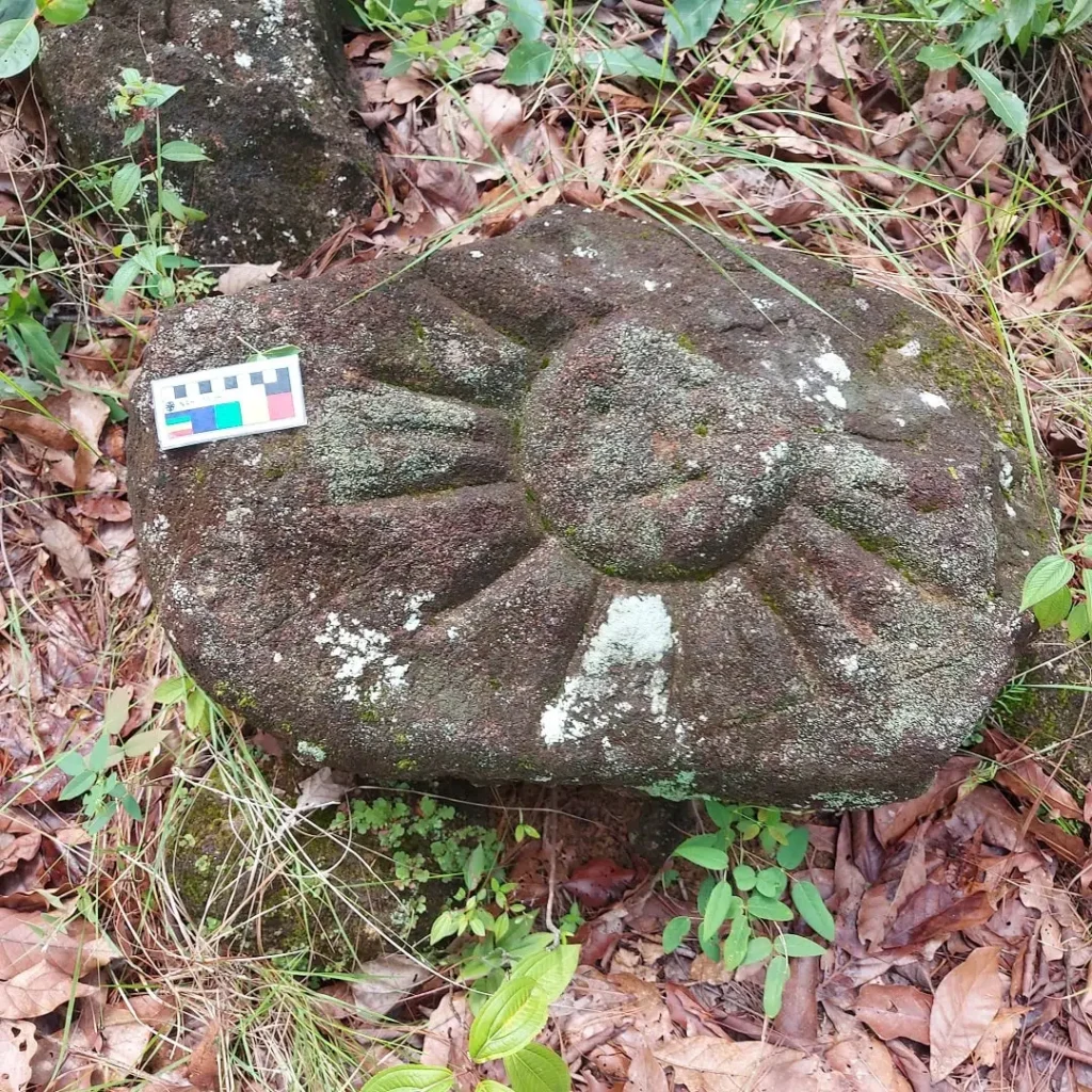 
Petroglyphs of Time, Water, and the Cosmos