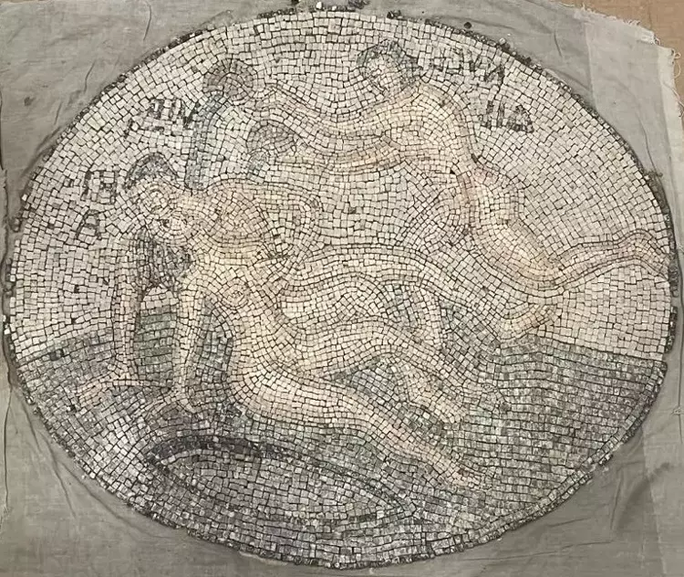 The circular mosaic depicts nude figures and sea creatures arranged in an oval composition, likely representing individual mythological or allegorical scenes, possibly featuring Nereids or Tritons as seen in Roman mosaics. Credit: DHA