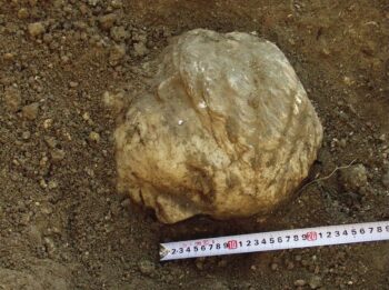 The marble head at the stratigraphic level during the moment of uncovering, the view from the southeast (photograph by A. B. Biernacki).