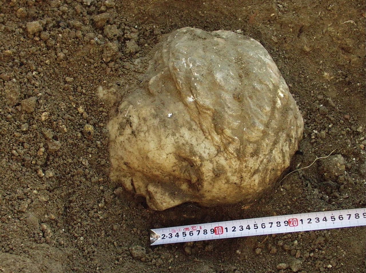 The marble head at the stratigraphic level during the moment of uncovering, the view from the southeast (photograph by A. B. Biernacki).