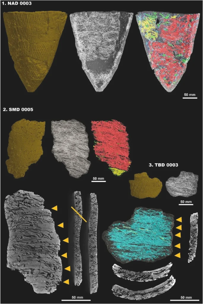 X-ray 3D images and cross-sectional images showing the distribution of cavities from nets incorporated into Shizunai-Nakano style pottery. 1: Nakanodai A site, 2: Shiomidai site, 3: Tobinodai site. Credit: Obata, H., & Lee, Y.-J. Journal of Archaeological Science (2025)
