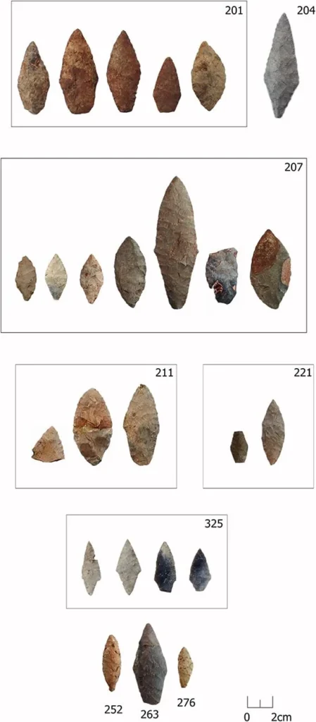 Stone Age tools. Credit: A. Petrović et al., PloS One (2025)