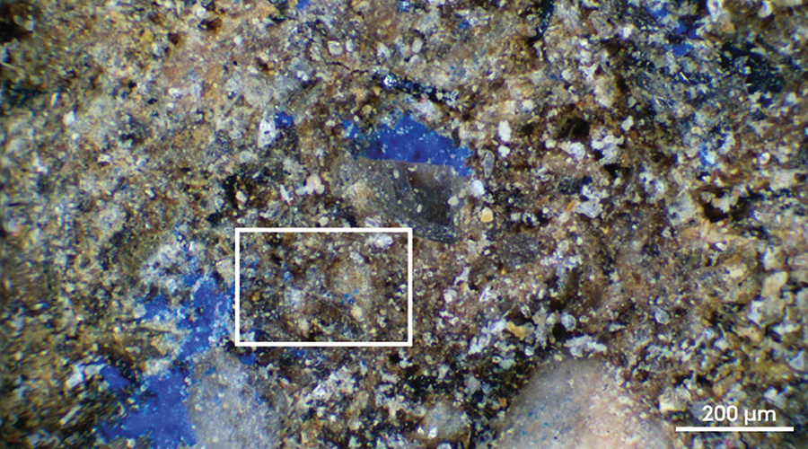 Traces of azurite found on a stone artefact from Mühlheim-Dietesheim mark the earliest use of blue pigment in Europe, likely for body decoration rather than cave art. Credit: Wisher et al. 2025 - Antiquity