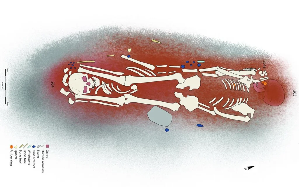 Reconstruction drawing of collective burial 263, 264 and 264a. Credit: A. Petrović et al., PloS One (2025)