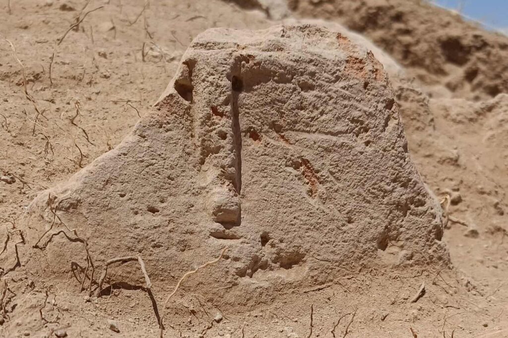 A 2,500-year-old volcanic tuff idol with a highly schematic human face—featuring carved eyebrows, close-set eyes, a long nose, and narrow lips—found beside a stone box inside a well-preserved house at the Urartian fortress of Argishtikhinili in Armenia. The figurine, preserved in its original position, is believed to have been linked to local ancestor or fertility cults. Credit: Polish Centre of Mediterranean Archaeology, University of Warsaw / Armenian–Polish Expedition