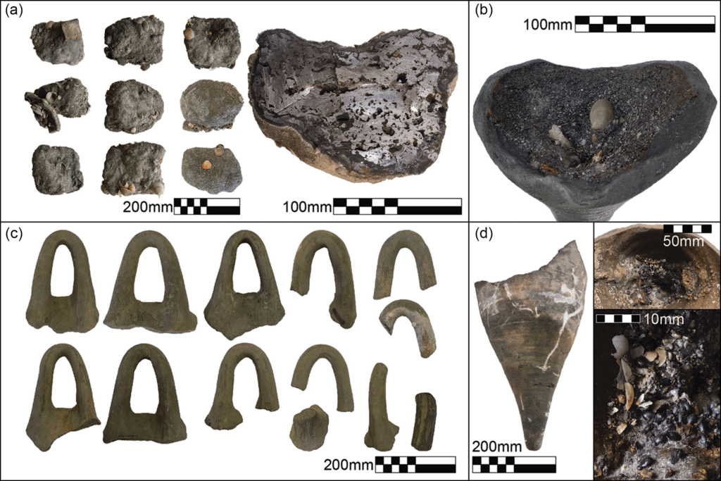Artifacts recovered from the Iron Age ship cargo: a) iron blooms; b) the base of a basket-handle amphora containing resin; c) basket-handle amphora handles; d) another amphora base containing grape seeds from locus L23.007. Figure by Marko Runjajić & Jonathan Gottlieb Credit: Yasur-Landau et al. (2025), Antiquity.