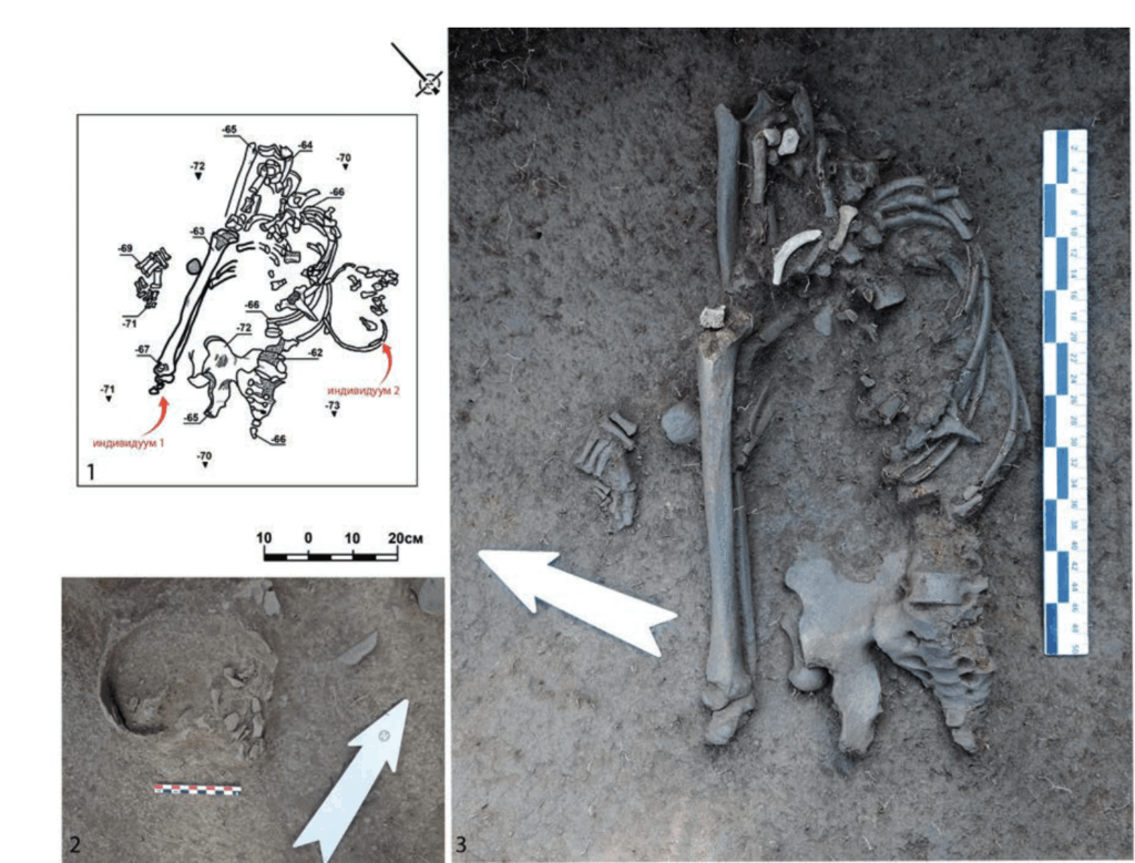 The Early Neolithic double burial discovered at the Koken settlement in eastern Kazakhstan. The illustration shows the grave plan, the cranium of the second individual, and the postcranial skeleton of the first. Drawing by Galymzhan Kiyasbek; photograph by Zhuldyz Tashmanbetova.
